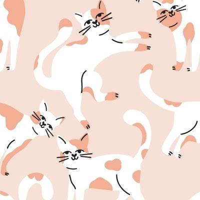 Котики. Котята.