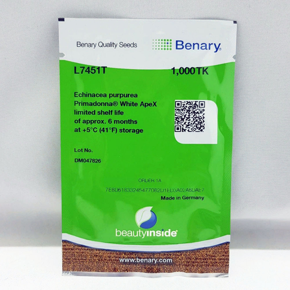 Эхинацея пурпурная PRIMADONNA WHITE – фото 2