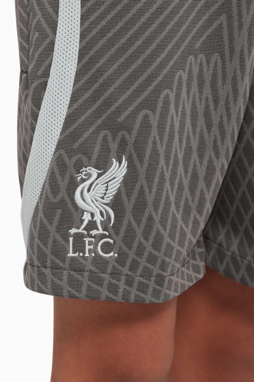 Шорты Nike Liverpool FC 23/24 Strike Junior