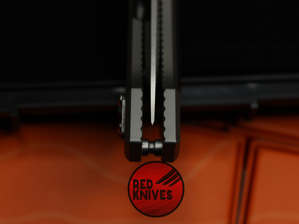 Нож DDR Darrel Ralph Custom AXD 5.5 (имеет асссист) - рукоять титан, вставка Carbon