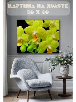 Картина на стену 40 X 50 Орхидеи