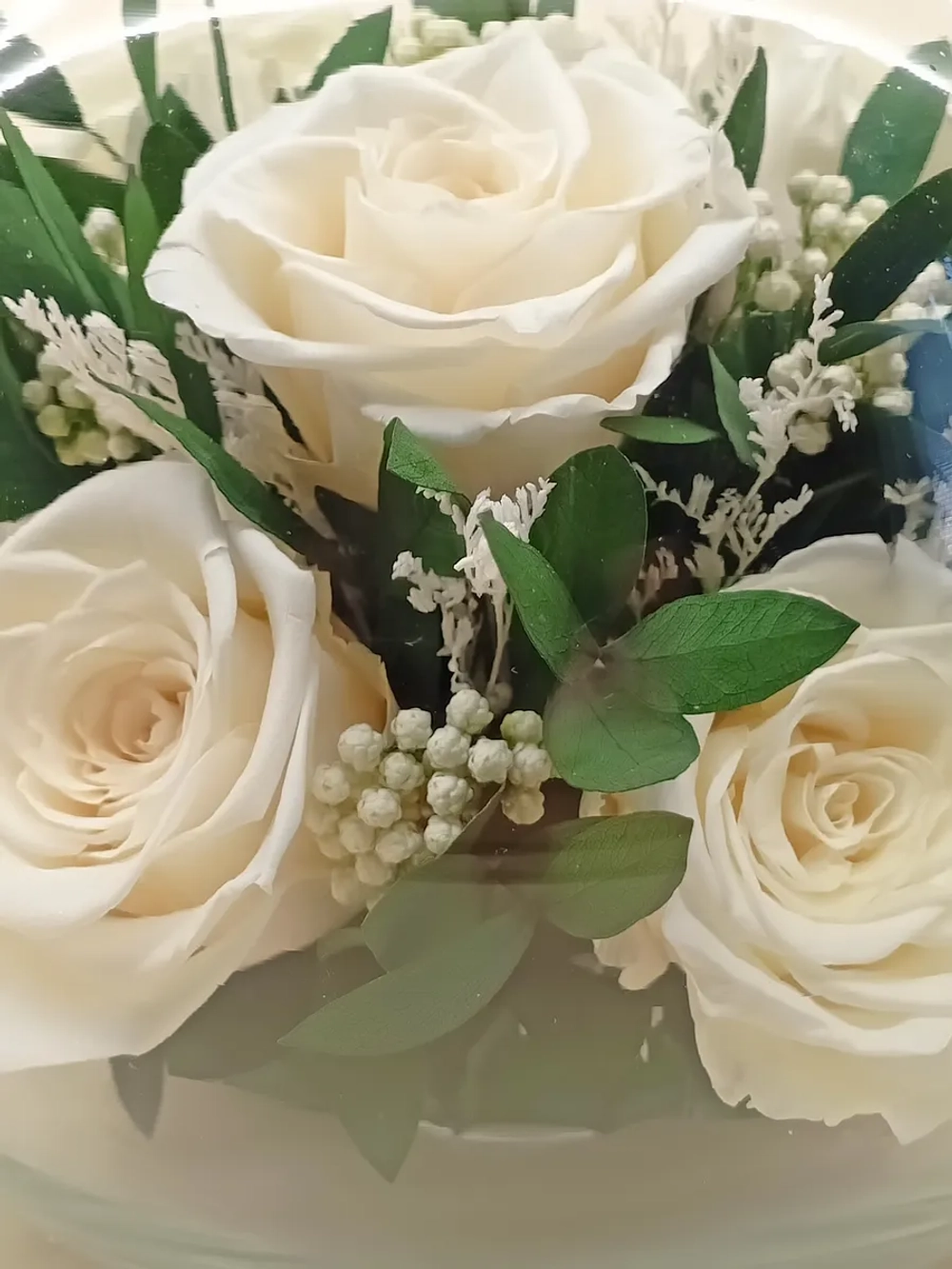 натуральные кустовые розы в стекле, вакуум