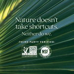 New Chapter, Zyflamend для простаты, 60 вегетарианских капсул