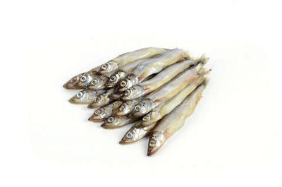 Мойва, Фарерские острова, 1кг. (вылов 2026 г.)