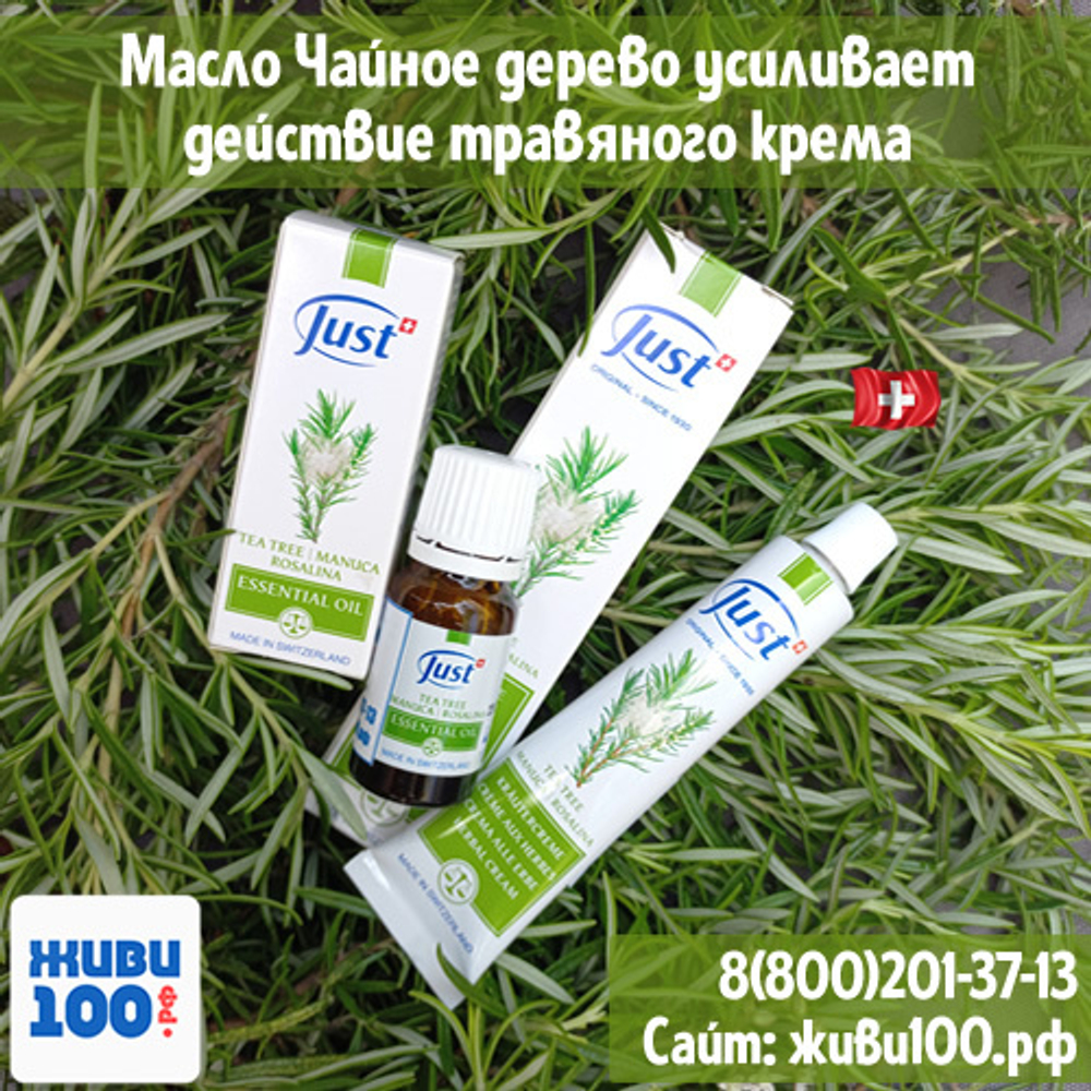 Крем Чайное дерево Just Tea tree | Купить с бесплатной доставкой