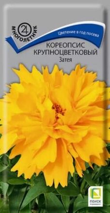 Кореопсис