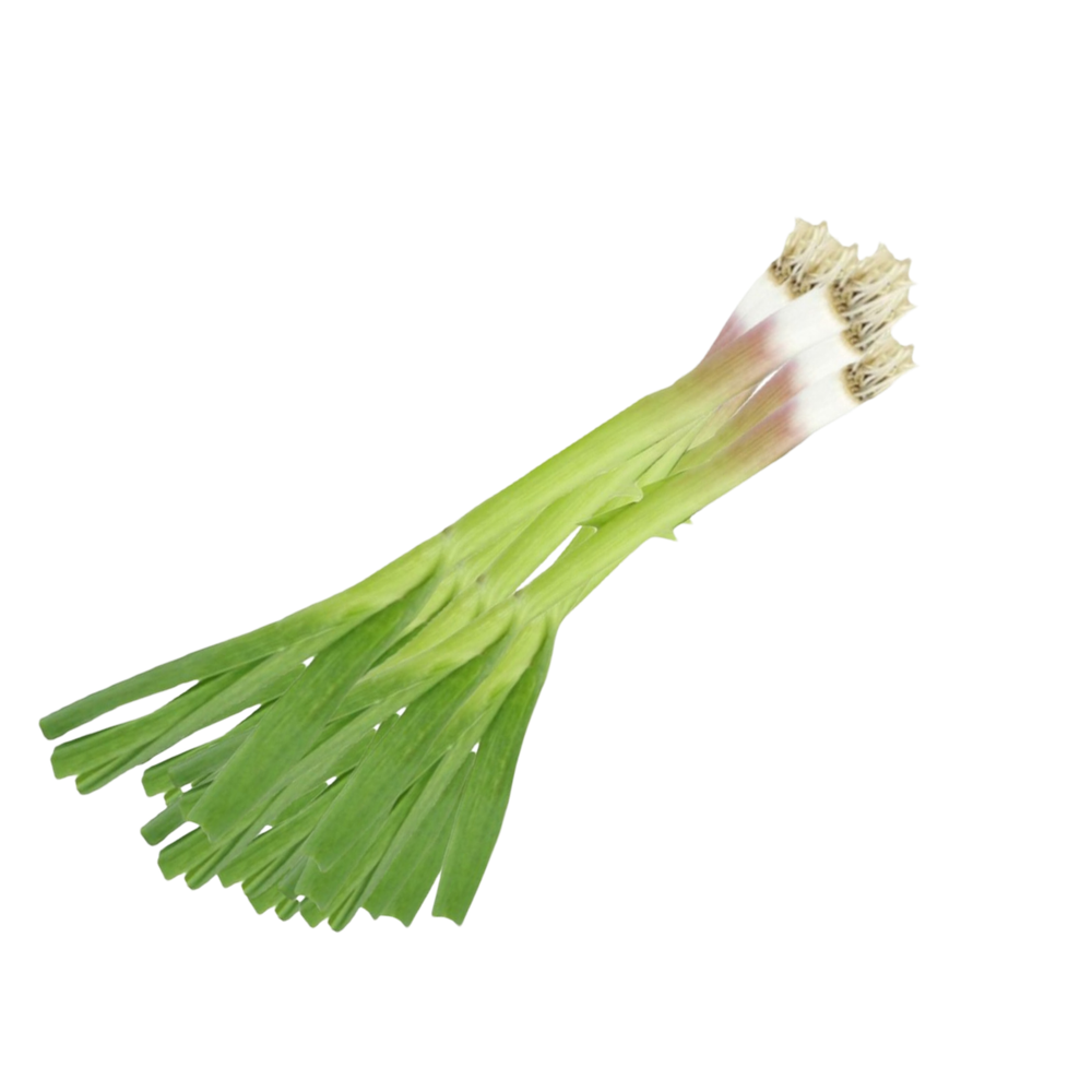 Чеснок свежий шт