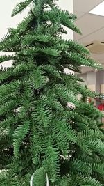 Искусственная настольная елка "Ренессанс" (Литая хвоя) 45 см/ 60 см / 90 см