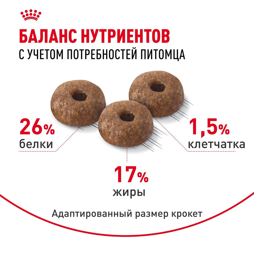 Royal Canin Mini Dermacomfort Корм сухой для взрослых собак мелких размеров 1кг