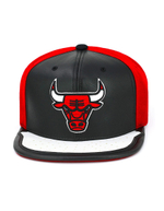 Кепка NBA Chicago Bulls Day One
