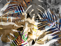 ASTRAL 20 7