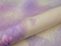 Постельное белье СайлиД B-143 сатин