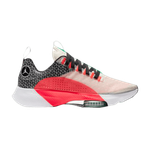 Кроссовки Jordan Air Zoom Renegade