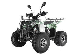 AVANTIS C200 2020г (А) Lux (Осенний камуфляж)