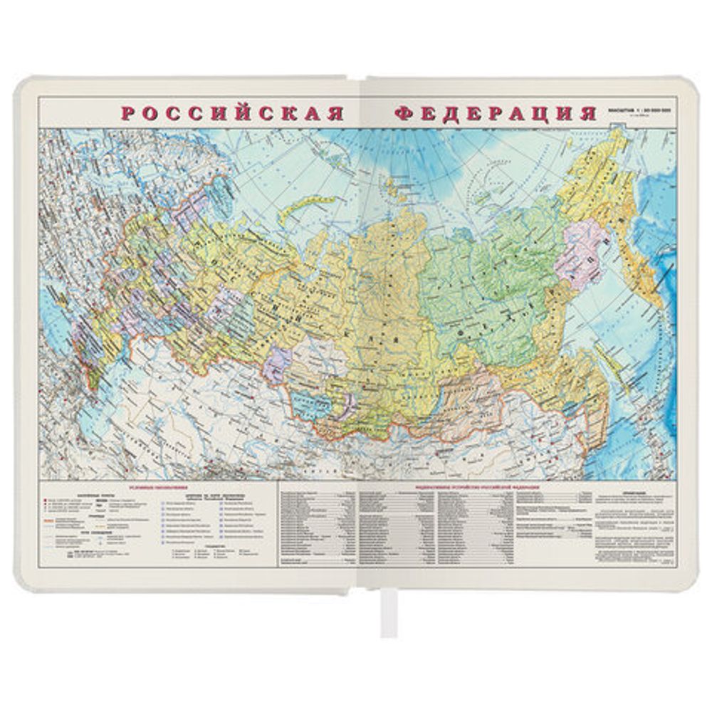 Ежедневник недатированный А5 138х213 мм, BRAUBERG "Iguana", под кожу, 160 л., белый, 114458