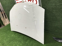 Капот Nissan Terrano 3 (2014-2022)