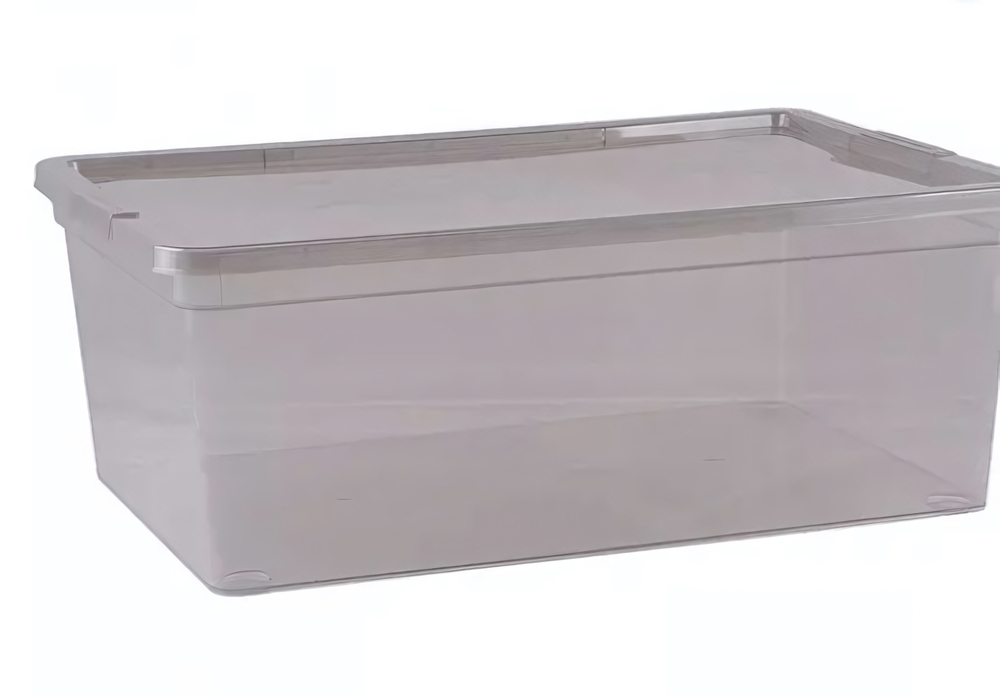Контейнер универсальный с крышкой для хранения «MYSTERY», прозрачный, 37*26*14см, 10л