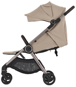 Детская коляска Anex iQ Premium NT 2 в 1 iQ-13-DNA seal