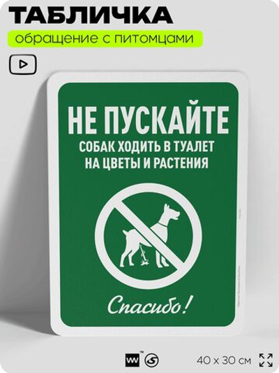 Табличка "Не пускайте собак ходить в туалет на цветы и растения", для двора, дома, подъезда, 40х30 см, Silver Plane x Айдентика Технолоджи
