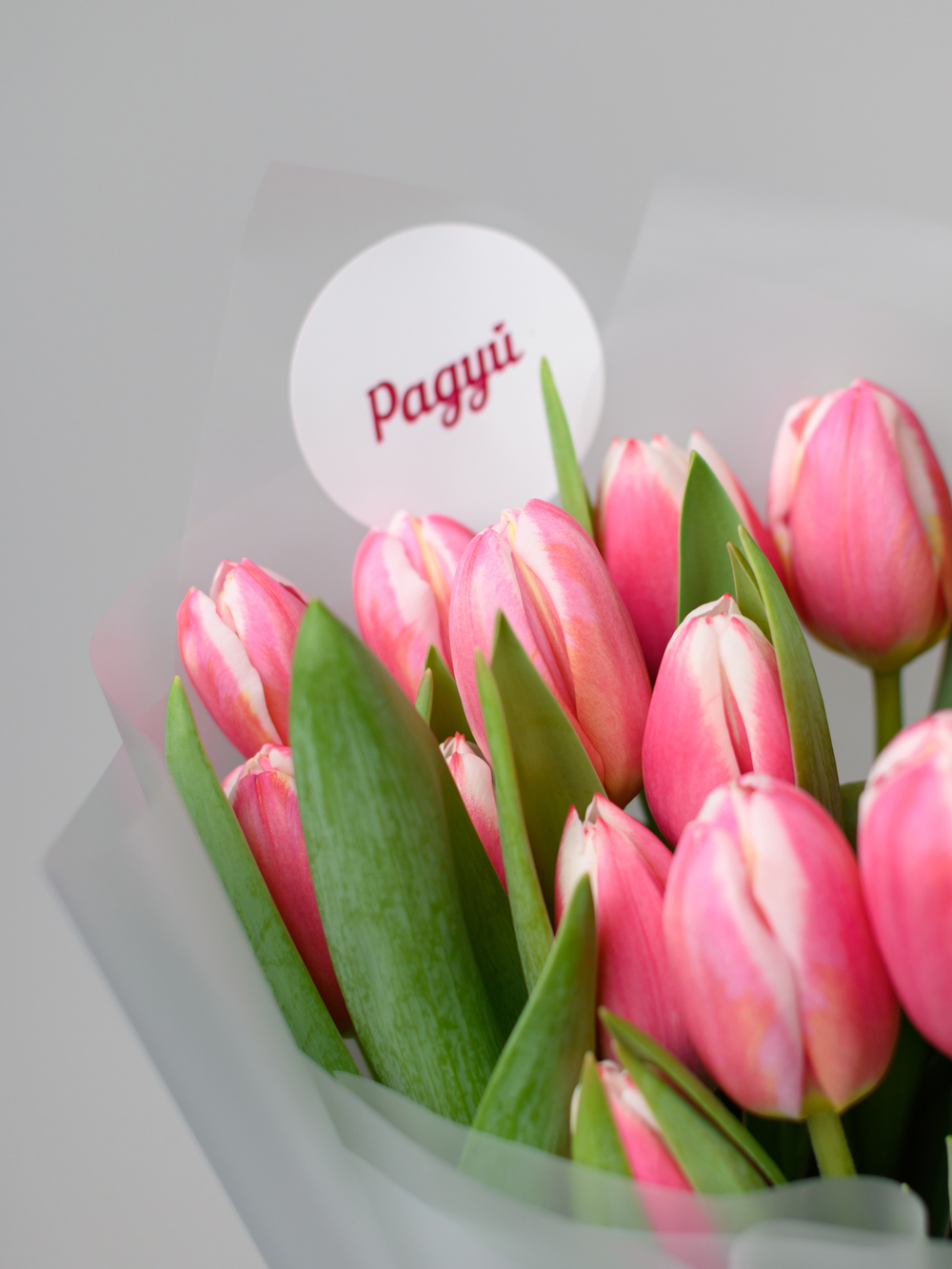 Тюльпаны микс