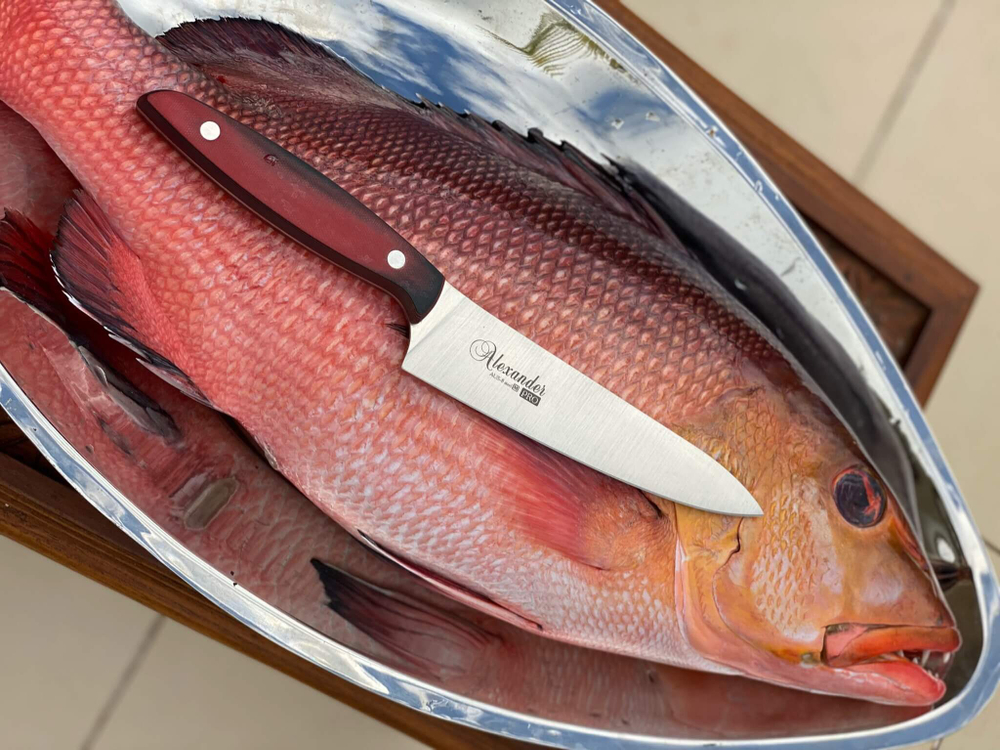 🏆Кухонный нож Alexander S AUS-8 Red G10