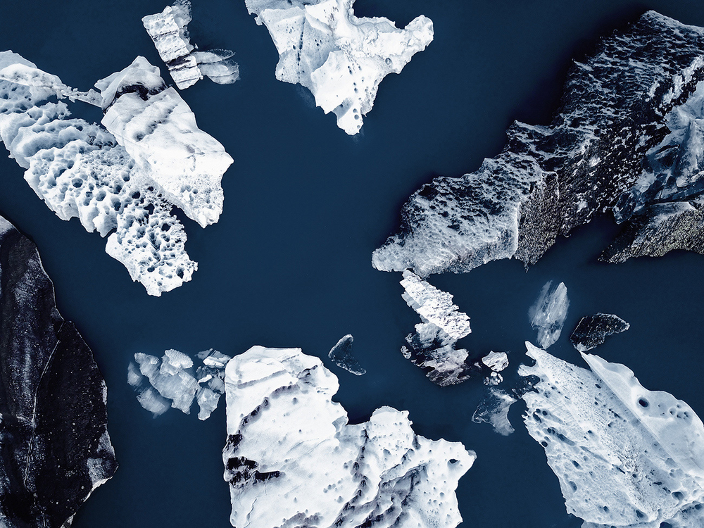 Дизайнерские обои Wall Street Bird see