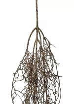 Корень мелкий 135 см