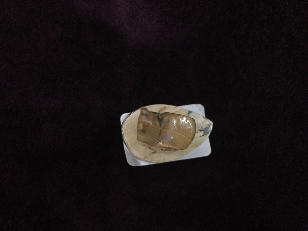 Улитка, сувенир, фигурка, из кости