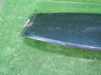 DSCN8995.JPG