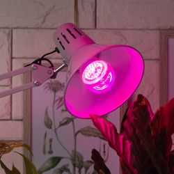 Фитолампа для растений светодиодная ЭРА FITO-12W-RB-E27 красно-синего спектра 12 Вт Е27 | Фитолампы Е27