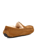 ASCOT MENS chestnut