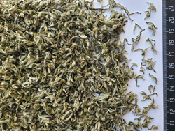 59264 Чай зелёный "Мэн Дин Гань Лу" Fresh