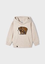 толстовка с капюшоном