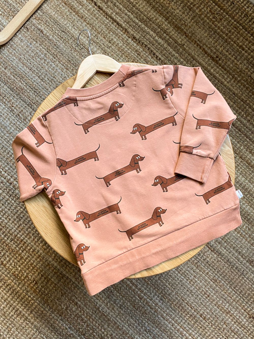 Толстовка Tinycottons