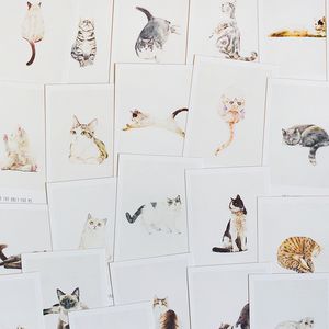 Набор открыток Cat