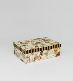 Packing Symphony WA-30-1/ 3 Коробка «Прямоугольник бол.»