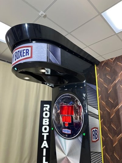 Силомер боксер «Rocky Boxer» Standart