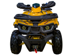 Квадроцикл AVANTIS Hunter 200 Big Lux (Баланс. вал)