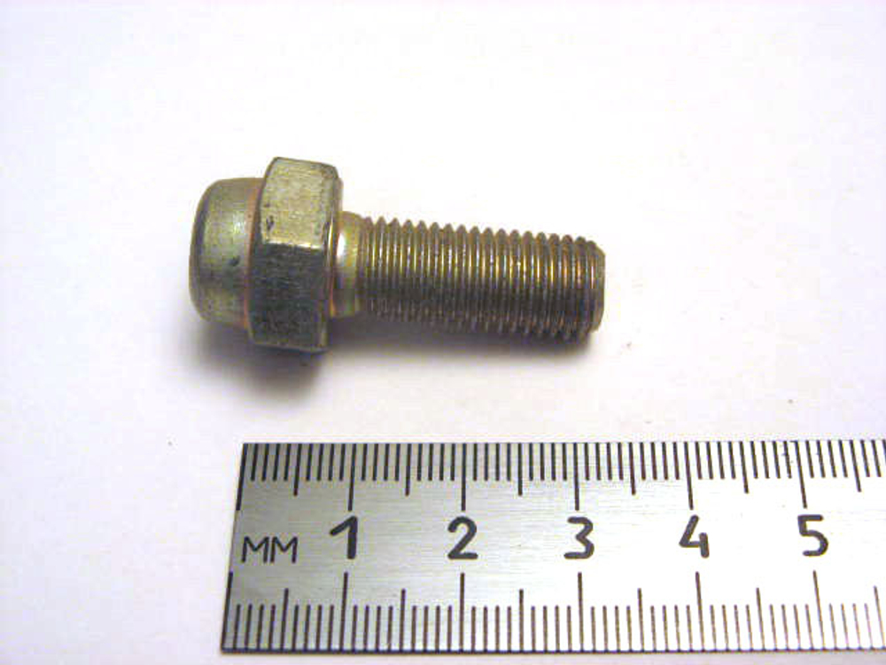 Болт10х 25x1,25 суппорта с ограничителем 2101 (фигурный) с полукруглой головкой  (ОАО «БелЗАН»)