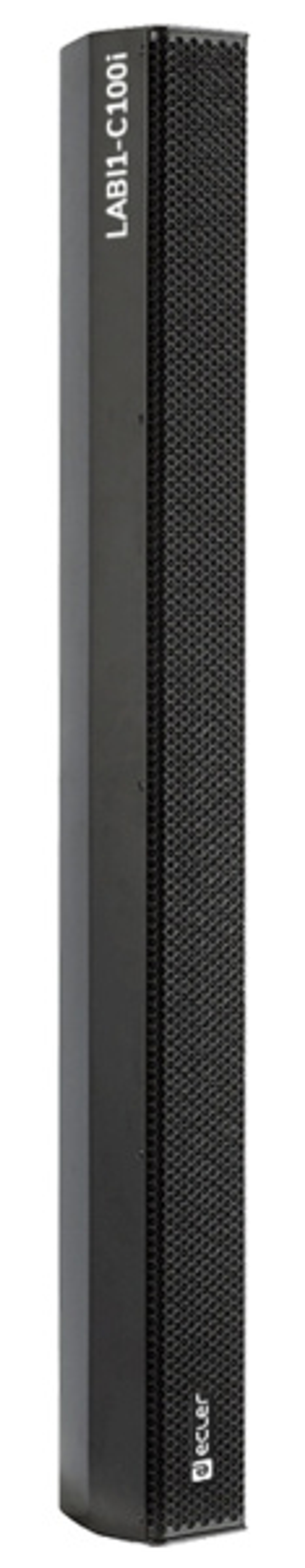 Линейный массив Ecler LABI1-C100i