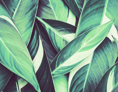 Дизайнерские обои Wall Street GreenDay