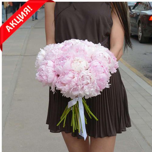 Купить Букет 21 пион "Sarah Bernhardt"