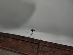 Дверь передняя левая Kia Optima 4 (JF) 16-20 Б/У Оригинал 76003D4000