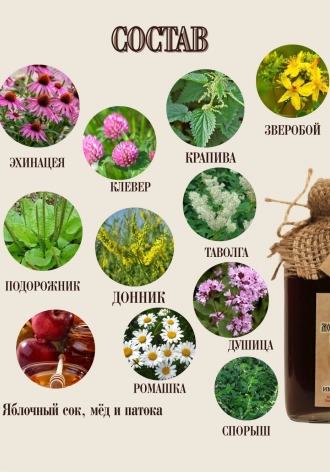 Перегородки грецкого ореха — микроэлементы для поддержки когнитивной активности.