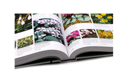 RHS Encyclopedia of plants and flowers
