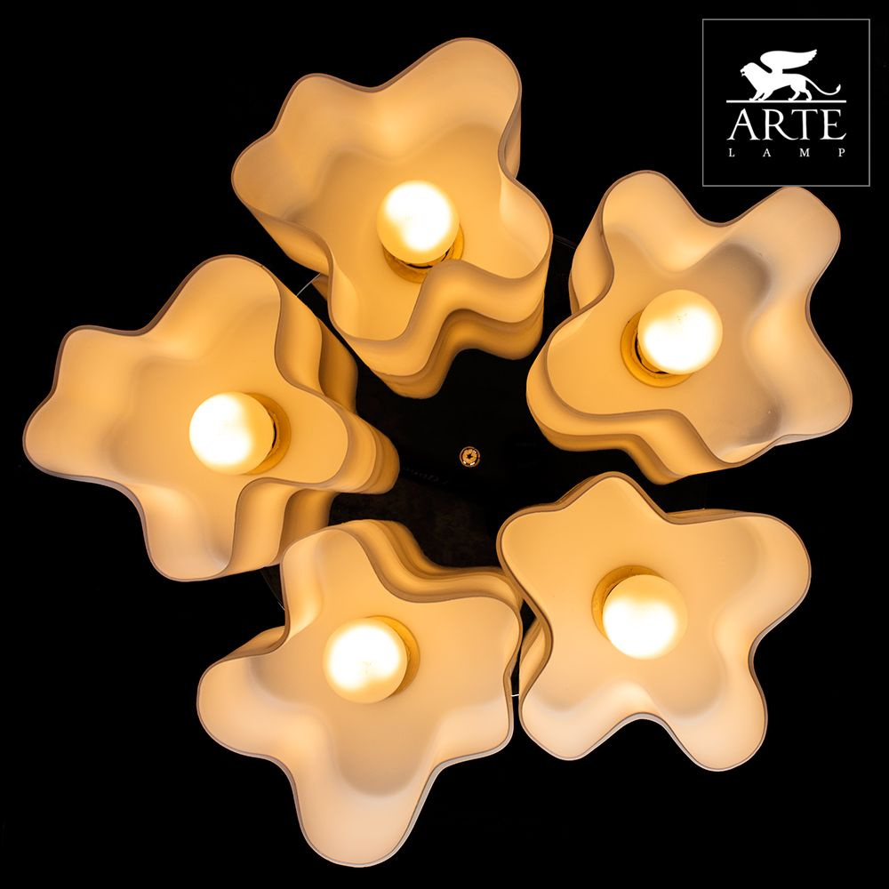 Накладная люстра Arte Lamp A3479PL-5CC