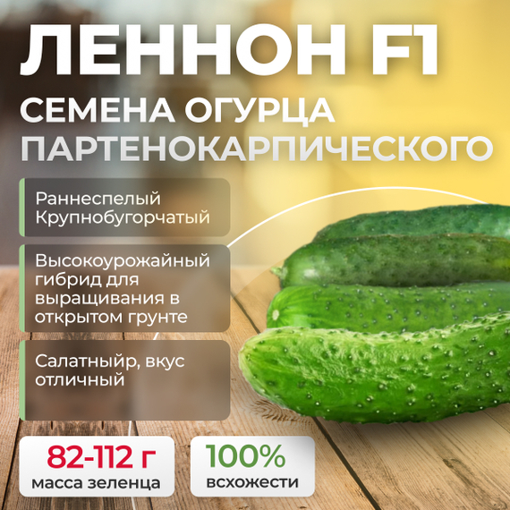 ЛЕННОН F1 семена огурца (Rijk Zwaan) культура – фото 1