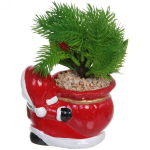 Фигурка Miracle «Мешочек новогодний с хвоей» 10,5*16 см