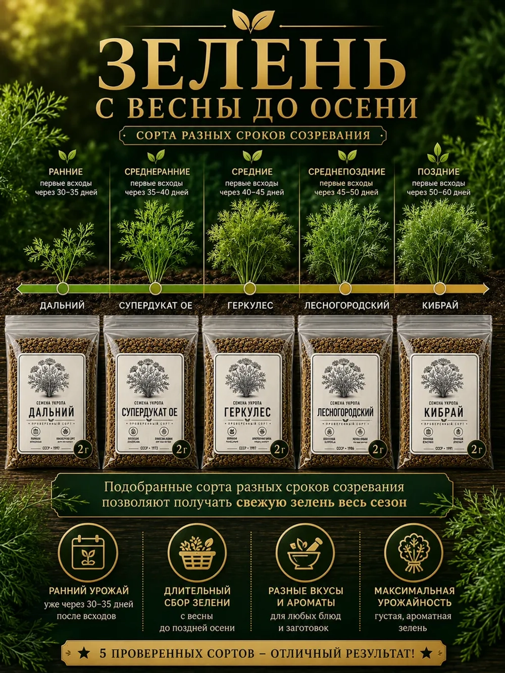 Набор семян укропа СССР 5 проверенных сортов