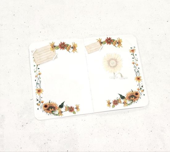 Блокнот 24 листа "Подсолнухи", линейка